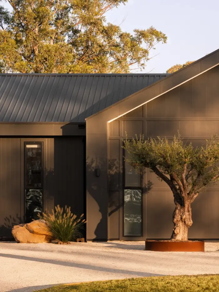 Bronze-black modern barn house exterior with vertical steel cladding, standing-seam roof and an olive tree in a corten planter